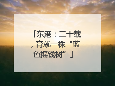 东港：二十载，育就一株“蓝色摇钱树”