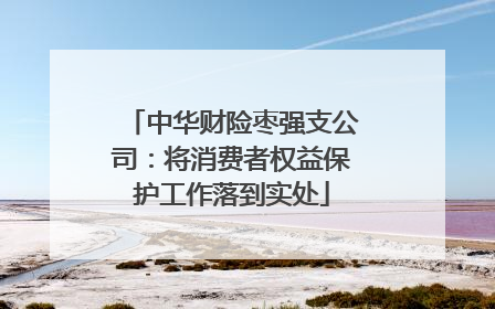 中华财险枣强支公司：将消费者权益保护工作落到实处