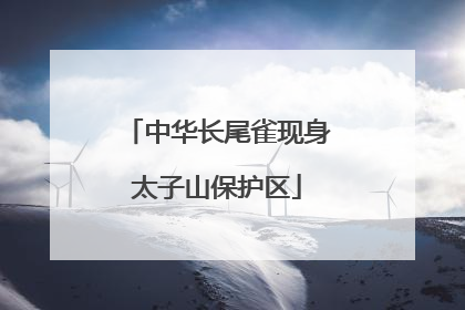 中华长尾雀现身太子山保护区