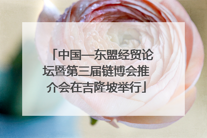 中国—东盟经贸论坛暨第三届链博会推介会在吉隆坡举行