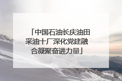 中国石油长庆油田采油十厂深化党建融合凝聚奋进力量