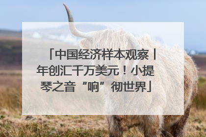 中国经济样本观察丨年创汇千万美元！小提琴之音“响”彻世界