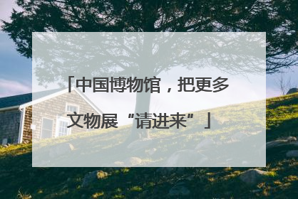 中国博物馆，把更多文物展“请进来”