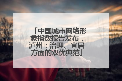 中国城市网络形象指数报告发布，泸州：治理、宜居方面的双优典范