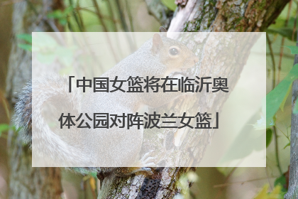 中国女篮将在临沂奥体公园对阵波兰女篮