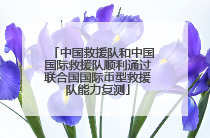 中国救援队和中国国际救援队顺利通过联合国国际重型救援队能力复测