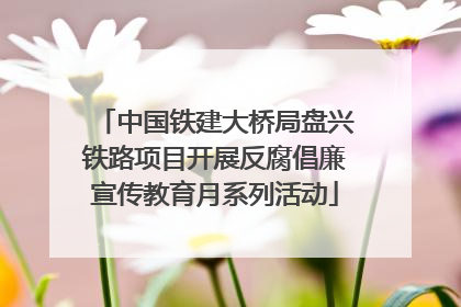 中国铁建大桥局盘兴铁路项目开展反腐倡廉宣传教育月系列活动