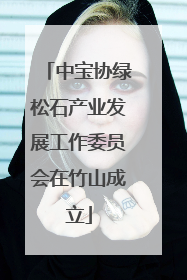中宝协绿松石产业发展工作委员会在竹山成立