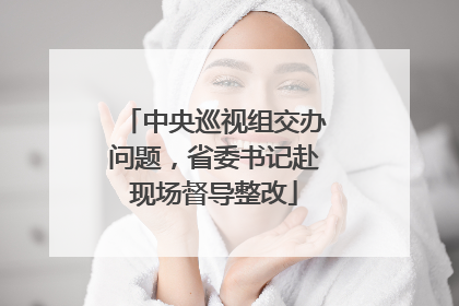 中央巡视组交办问题，省委书记赴现场督导整改