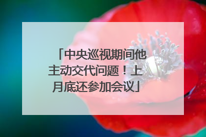 中央巡视期间他主动交代问题！上月底还参加会议