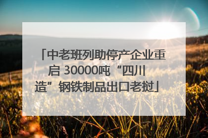 中老班列助停产企业重启 30000吨“四川造”钢铁制品出口老挝