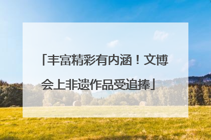 丰富精彩有内涵！文博会上非遗作品受追捧