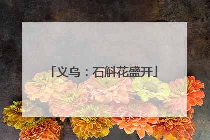 义乌：石斛花盛开