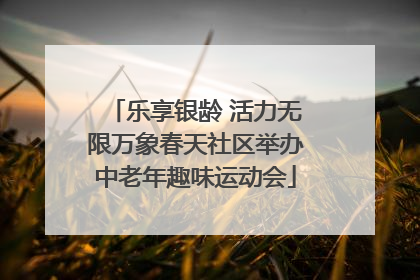 乐享银龄 活力无限万象春天社区举办中老年趣味运动会