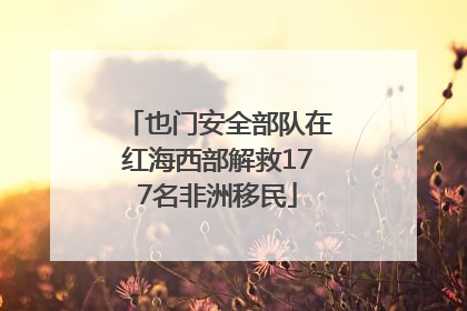 也门安全部队在红海西部解救177名非洲移民