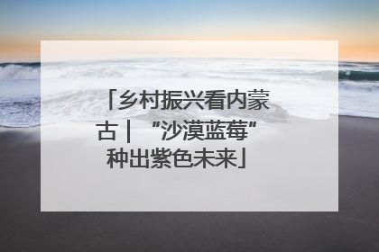 乡村振兴看内蒙古｜“沙漠蓝莓”种出紫色未来
