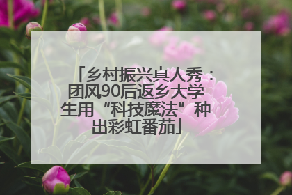 乡村振兴真人秀：团风90后返乡大学生用“科技魔法”种出彩虹番茄