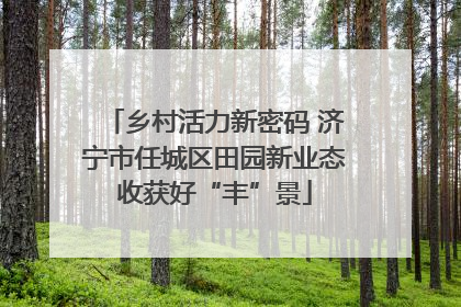 乡村活力新密码 济宁市任城区田园新业态收获好“丰”景