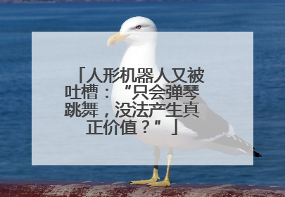 人形机器人又被吐槽：“只会弹琴跳舞，没法产生真正价值？”
