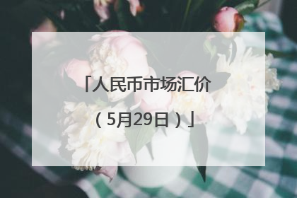 人民币市场汇价（5月29日）
