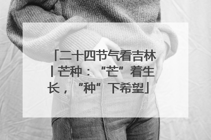 二十四节气看吉林丨芒种：“芒”着生长，“种”下希望