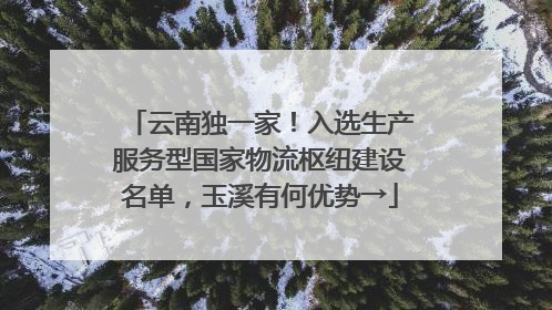 云南独一家！入选生产服务型国家物流枢纽建设名单，玉溪有何优势→