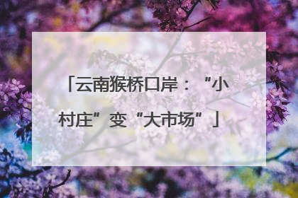 云南猴桥口岸：“小村庄”变“大市场”