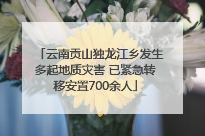 云南贡山独龙江乡发生多起地质灾害 已紧急转移安置700余人