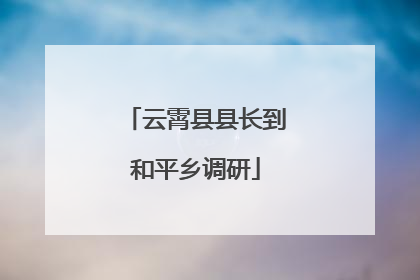 云霄县县长到和平乡调研