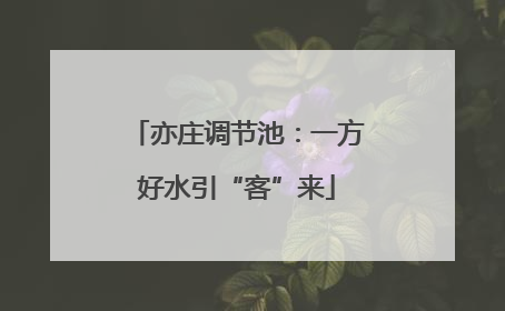 亦庄调节池：一方好水引“客”来