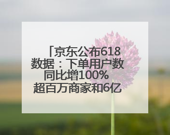 京东公布618数据：下单用户数同比增100% 超百万商家和6亿消费者受益AI