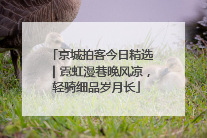 京城拍客今日精选｜霓虹漫巷晚风凉，轻骑细品岁月长