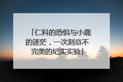 仁科的恐惧与小鹿的迷茫，一次刻意不完美的纪实实验