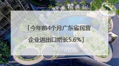 今年前4个月广东省民营企业进出口增长5.6%