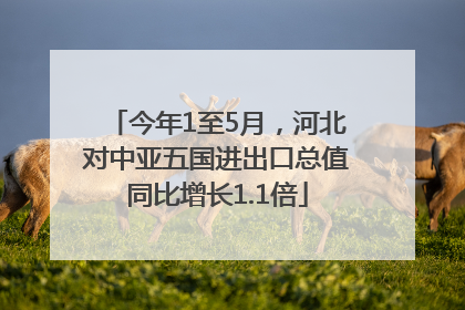 今年1至5月，河北对中亚五国进出口总值同比增长1.1倍