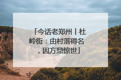 今话老郑州丨杜岭街：由村落得名，因方鼎惊世