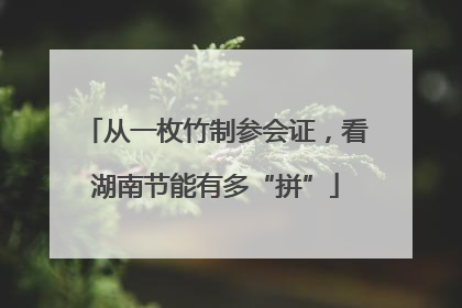 从一枚竹制参会证，看湖南节能有多“拼”
