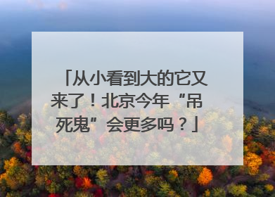 从小看到大的它又来了！北京今年“吊死鬼”会更多吗？