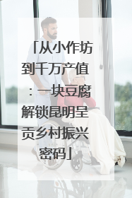 从小作坊到千万产值：一块豆腐解锁昆明呈贡乡村振兴密码