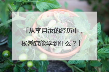 从李月汝的经历中，杨瀚森能学到什么？