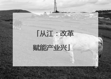 从江：改革赋能产业兴