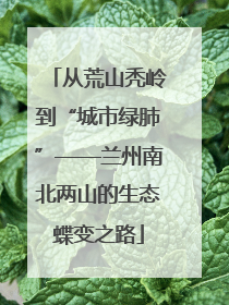 从荒山秃岭到“城市绿肺”——兰州南北两山的生态蝶变之路