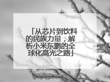 从芯片到饮料的民族力量，解析小米东鹏的全球化高光之路
