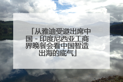从雅迪受邀出席中国－印度尼西亚工商界晚餐会看中国智造出海的底气