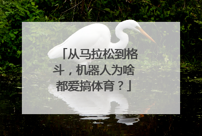 从马拉松到格斗，机器人为啥都爱搞体育？