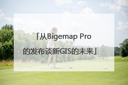 从Bigemap Pro的发布谈新GIS的未来
