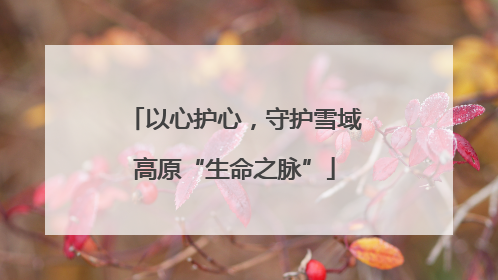 以心护心，守护雪域高原“生命之脉”