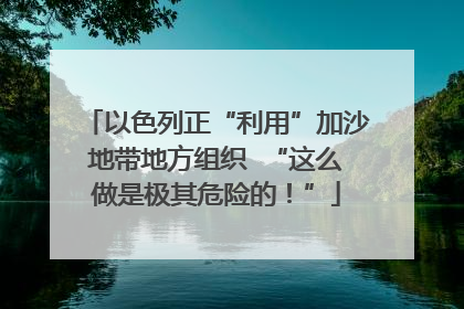 以色列正“利用”加沙地带地方组织  “这么做是极其危险的！”