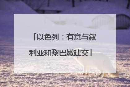 以色列：有意与叙利亚和黎巴嫩建交