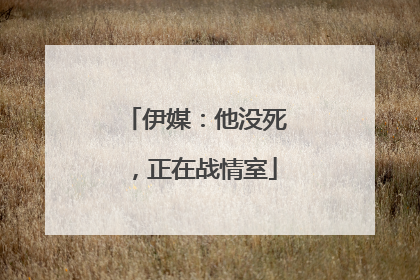 伊媒：他没死，正在战情室